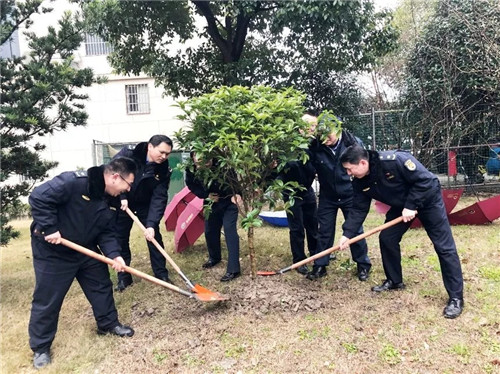 學(xué)雷鋒 植綠樹4.webp_副本.jpg